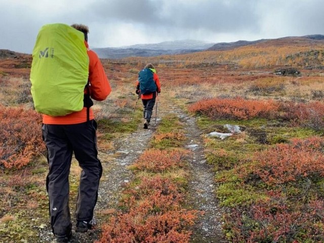 Abisko Autumn Hike