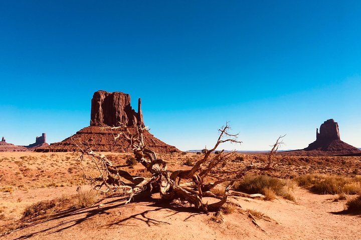 Monument Valley Backcountry Tour
