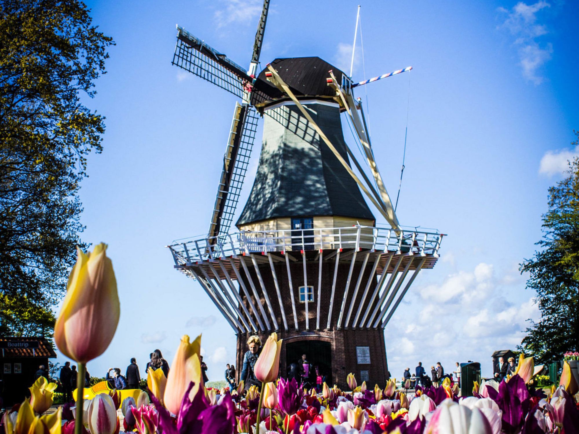 Amsterdam bike tour with canal cruise
