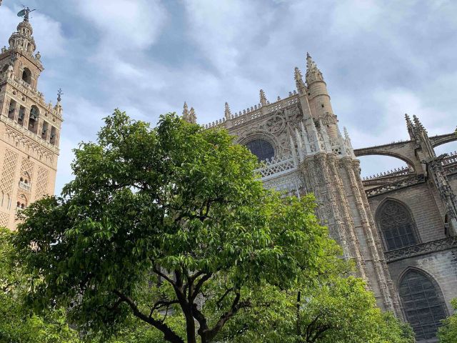 Giralda and Cathedral of Seville private tour