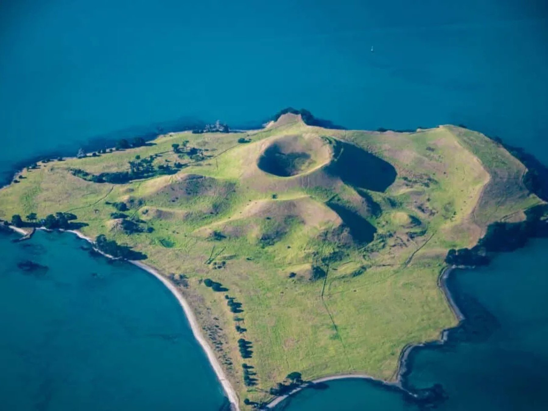 Browns Island Motukorea Sea Kayak Tour | Auckland