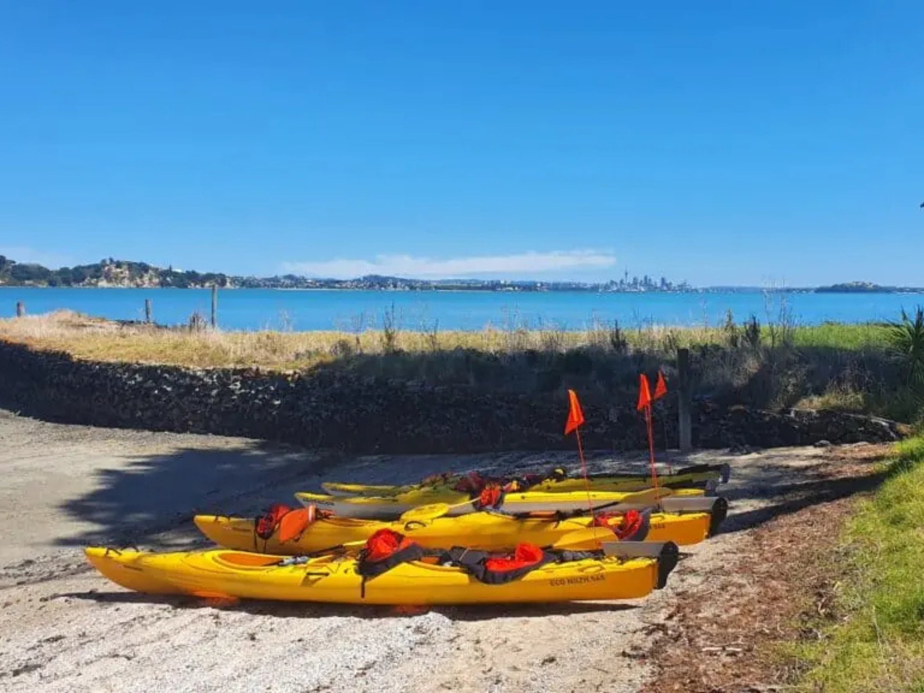 Browns Island Motukorea Sea Kayak Tour | Auckland