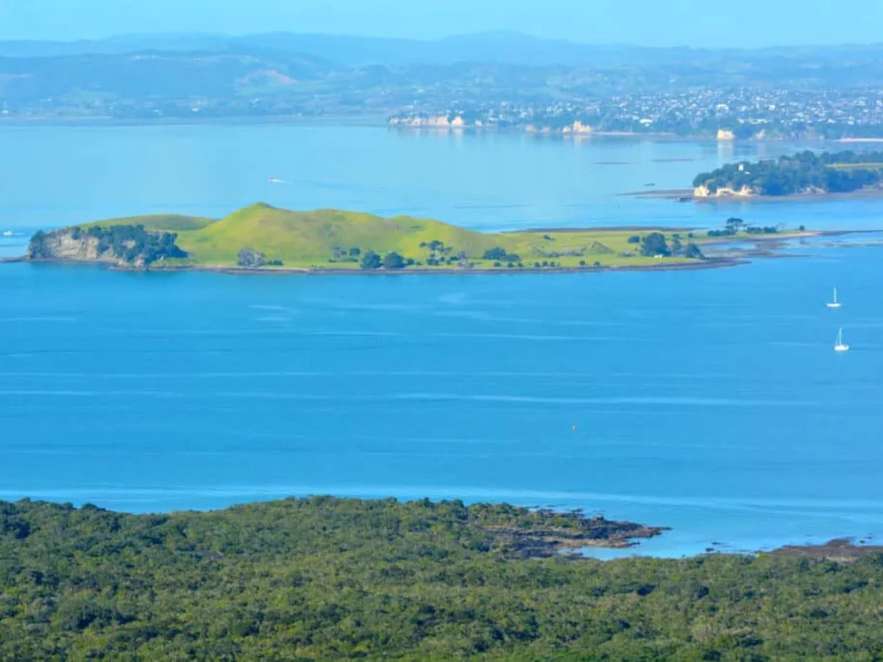Browns Island Motukorea Sea Kayak Tour | Auckland