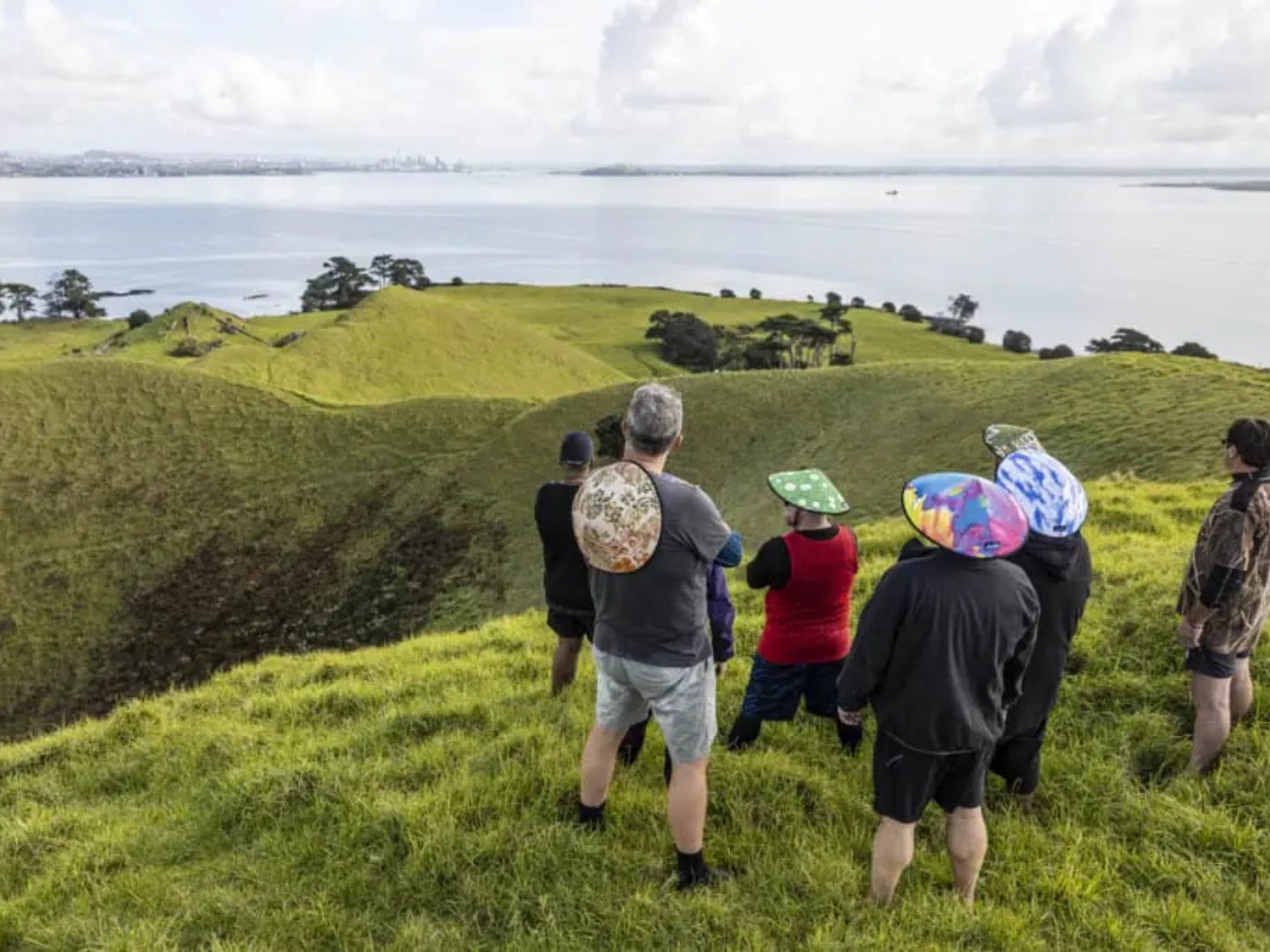 Browns Island Motukorea Sea Kayak Tour | Auckland