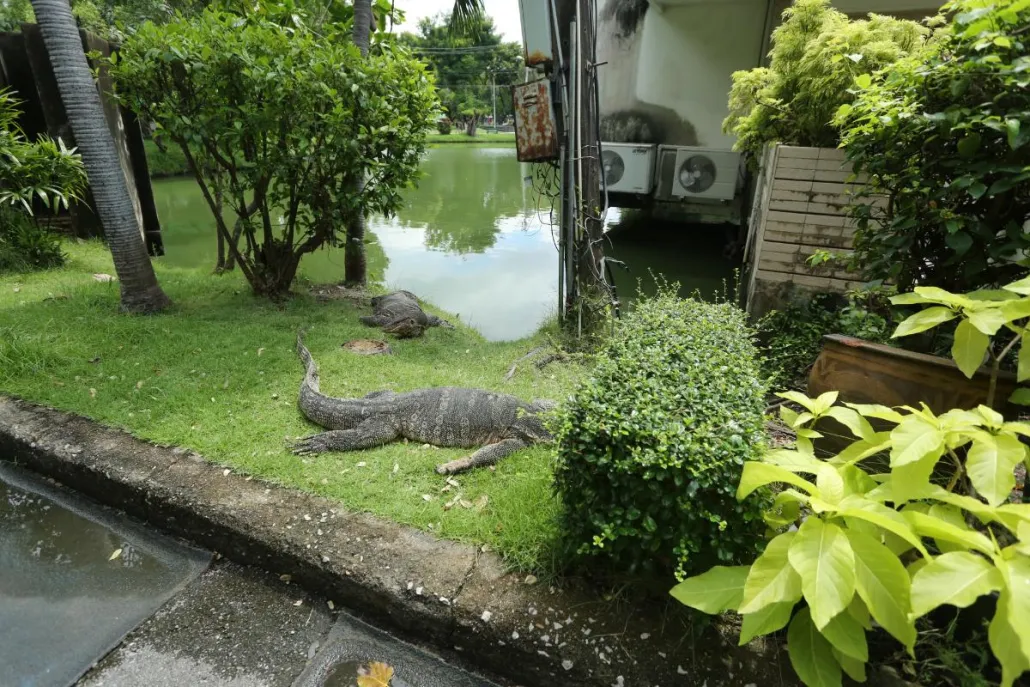 Bangkok City Culture Cycle tour - Bike through the heart of Bangkok's business districts