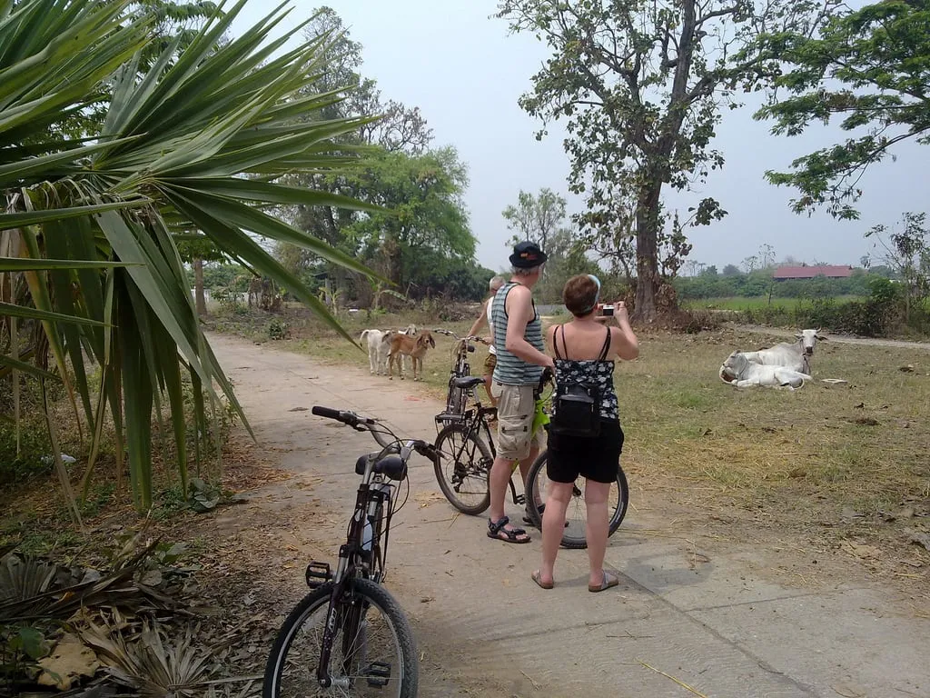 Chiang Mai Paradise Bike Tour