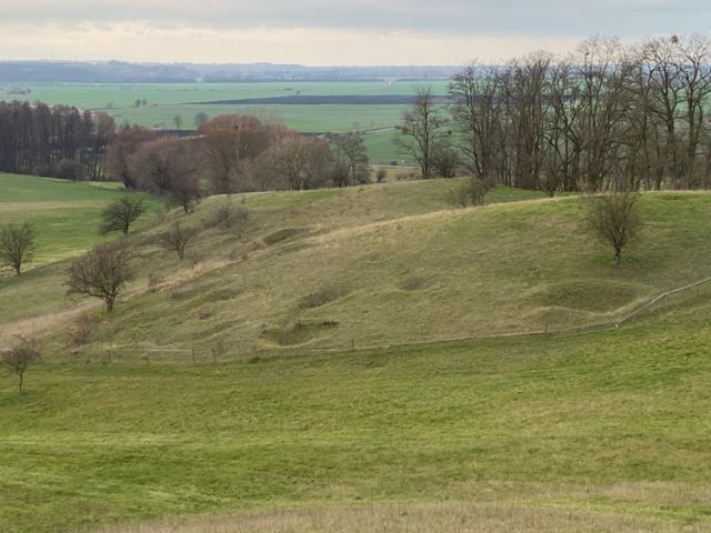 Clash of Titans: WWII Battlefield Tour of Seelow Heights