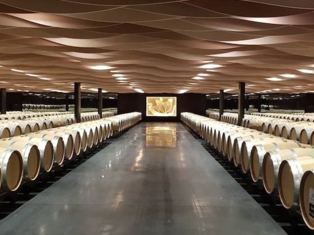 Private Medoc Wine Tour from Bordeaux