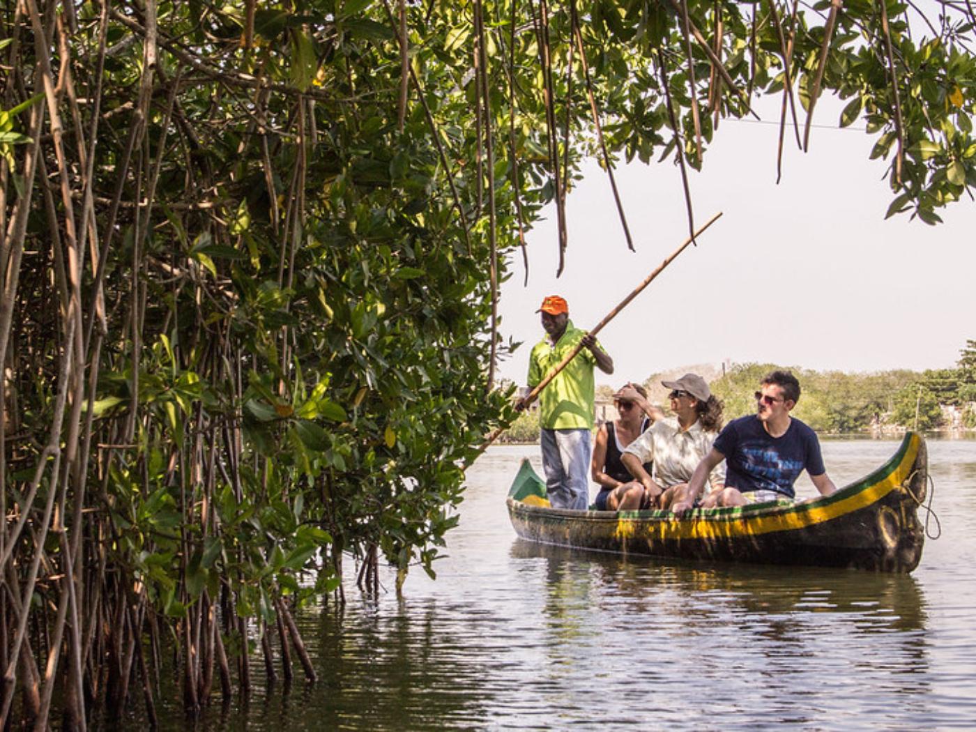 Gondola Trip in the Mangroves of La Boquilla in Cartagena