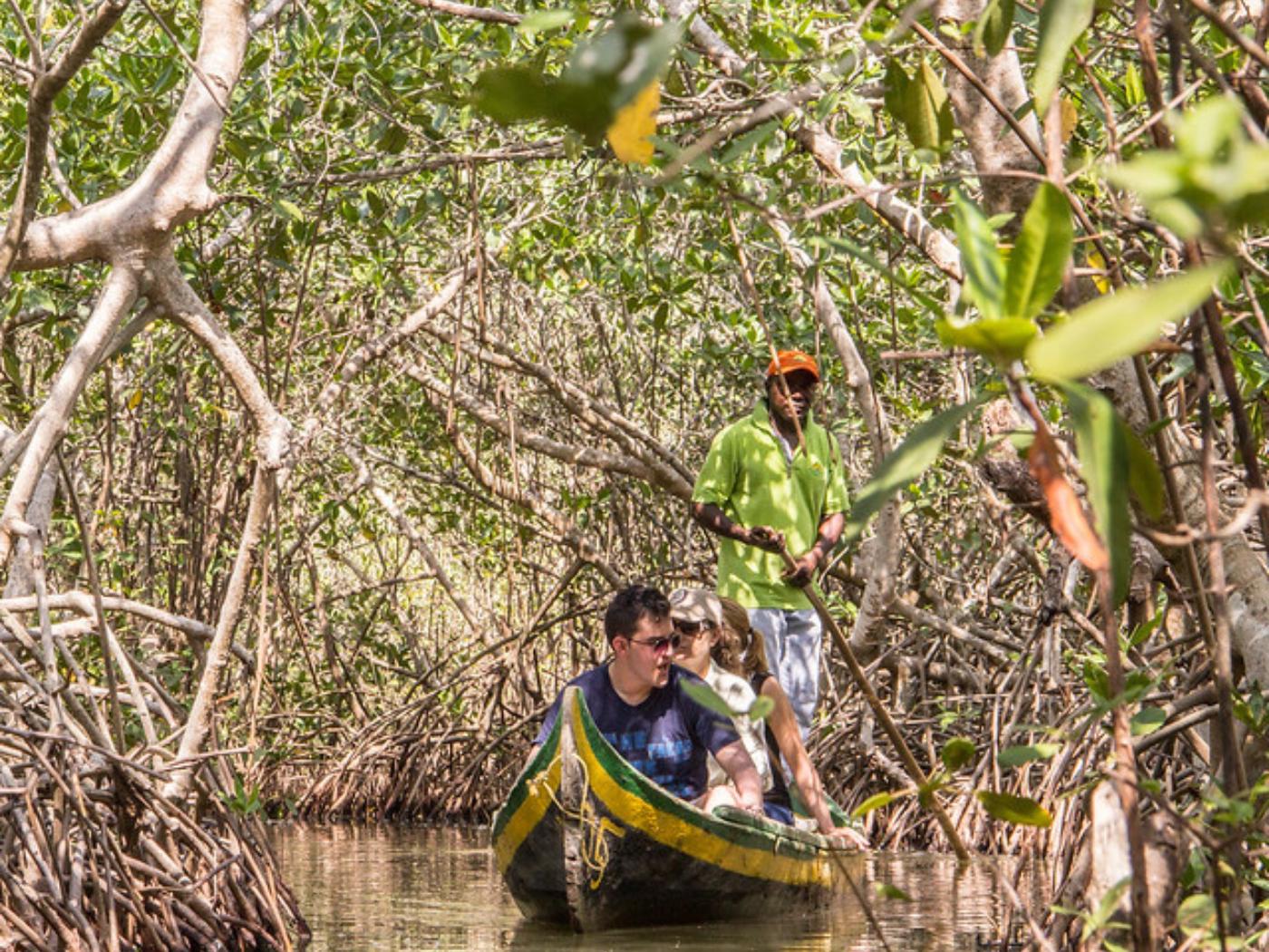 Gondola Trip in the Mangroves of La Boquilla in Cartagena