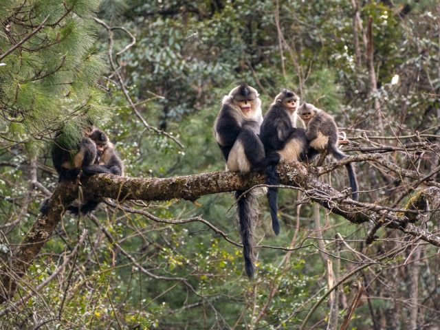 Discover Northwestern Yunnan through UNSECO Three Parallel Rivers region and the sacred Mt. Kawagarbo
