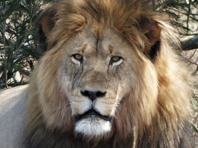 Garden Route| South Africa