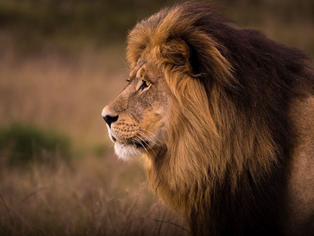 Garden Route| South Africa