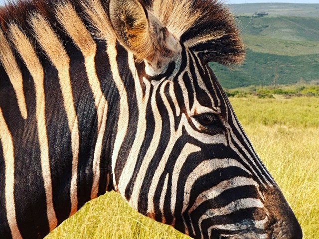 Garden Route| South Africa